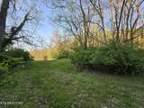 TR-2 Boatmans Mountain-Tr 2 Rd - Photo 4