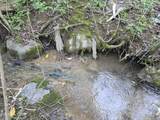 TR-2 Boatmans Mountain-Tr 2 Rd - Photo 5