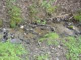 TR-2 Boatmans Mountain-Tr 2 Rd - Photo 7