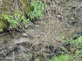 TR-2 Boatmans Mountain-Tr 2 Rd - Photo 8