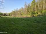 TR-2 Boatmans Mountain-Tr 2 Rd - Photo 9