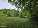 TBD Boatmans Mountain-Tr 1 Rd - Photo 14