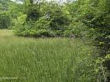 TBD Boatmans Mountain-Tr 1 Rd - Photo 16
