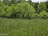 TBD Boatmans Mountain-Tr 1 Rd - Photo 20