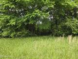 TBD Boatmans Mountain-Tr 1 Rd - Photo 27