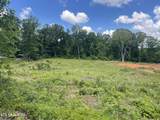 Lot 9 Laura Boling Loop Rd - Photo 1