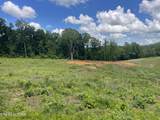 Lot 9 Laura Boling Loop Rd - Photo 2