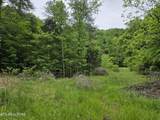 TR 3 Boatmans Mountain-Tr-3 - Photo 1