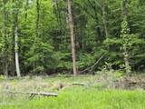 TR 3 Boatmans Mountain-Tr-3 - Photo 10