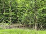 TR 3 Boatmans Mountain-Tr-3 - Photo 11