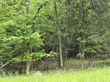 TR 3 Boatmans Mountain-Tr-3 - Photo 12