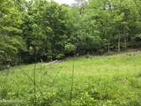 TR 3 Boatmans Mountain-Tr-3 - Photo 13
