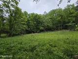 TR 3 Boatmans Mountain-Tr-3 - Photo 15