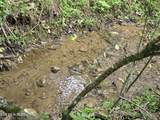 TR 3 Boatmans Mountain-Tr-3 - Photo 17