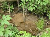 TR 3 Boatmans Mountain-Tr-3 - Photo 18