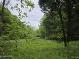 TR 3 Boatmans Mountain-Tr-3 - Photo 2