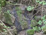TR 3 Boatmans Mountain-Tr-3 - Photo 20