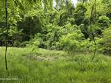 TR 3 Boatmans Mountain-Tr-3 - Photo 21