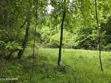 TR 3 Boatmans Mountain-Tr-3 - Photo 22