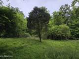 TR 3 Boatmans Mountain-Tr-3 - Photo 25