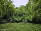 TR 3 Boatmans Mountain-Tr-3 - Photo 26