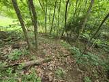TR 3 Boatmans Mountain-Tr-3 - Photo 28