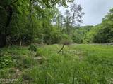 TR 3 Boatmans Mountain-Tr-3 - Photo 3