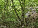 TR 3 Boatmans Mountain-Tr-3 - Photo 30