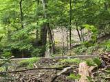 TR 3 Boatmans Mountain-Tr-3 - Photo 31