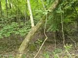TR 3 Boatmans Mountain-Tr-3 - Photo 32
