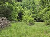 TR 3 Boatmans Mountain-Tr-3 - Photo 34