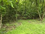 TR 3 Boatmans Mountain-Tr-3 - Photo 36