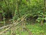 TR 3 Boatmans Mountain-Tr-3 - Photo 38