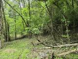 TR 3 Boatmans Mountain-Tr-3 - Photo 39
