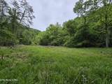 TR 3 Boatmans Mountain-Tr-3 - Photo 4