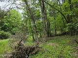 TR 3 Boatmans Mountain-Tr-3 - Photo 40