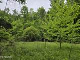 TR 3 Boatmans Mountain-Tr-3 - Photo 41