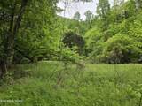 TR 3 Boatmans Mountain-Tr-3 - Photo 42