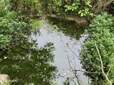 TR 3 Boatmans Mountain-Tr-3 - Photo 5