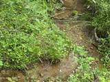 TR 3 Boatmans Mountain-Tr-3 - Photo 6