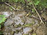 TR 3 Boatmans Mountain-Tr-3 - Photo 8