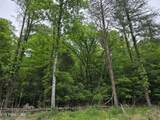 TR 3 Boatmans Mountain-Tr-3 - Photo 9