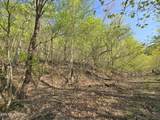 TR-4 Boatmans Mountain-25.54Ac - Photo 10