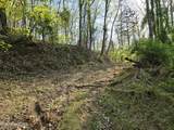 TR-4 Boatmans Mountain-25.54Ac - Photo 11