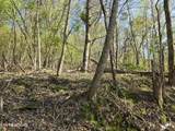 TR-4 Boatmans Mountain-25.54Ac - Photo 13