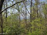 TR-4 Boatmans Mountain-25.54Ac - Photo 17