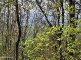 TR-4 Boatmans Mountain-25.54Ac - Photo 18