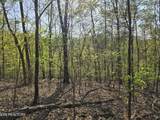 TR-4 Boatmans Mountain-25.54Ac - Photo 19