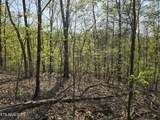 TR-4 Boatmans Mountain-25.54Ac - Photo 20