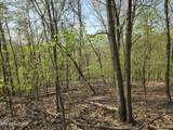 TR-4 Boatmans Mountain-25.54Ac - Photo 21